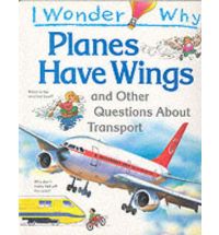 I Wonder Why Planes Have Wings